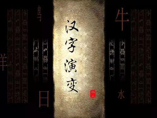 ：对“幽暗角落”现象的学术探究