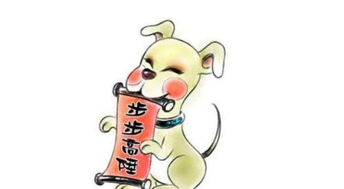 前言：生肖与情感契合之学术探讨