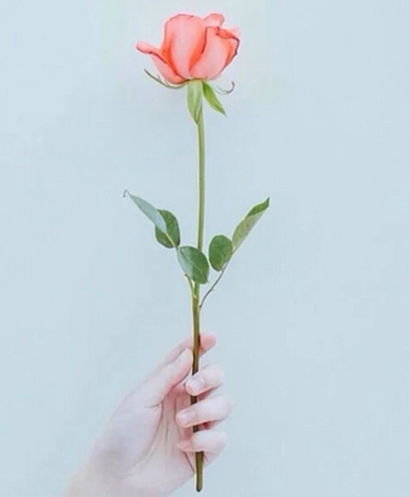 男士八字中劫财多，命运是否多波折？