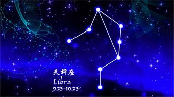 综合气场与行为倾向的分析