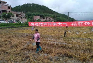 三、来来来！看看这些闪瞎眼的饲料公司名字！