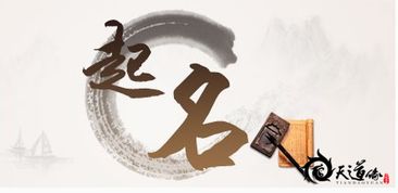 揭秘那些让你错失亿万财富的坏名字特征