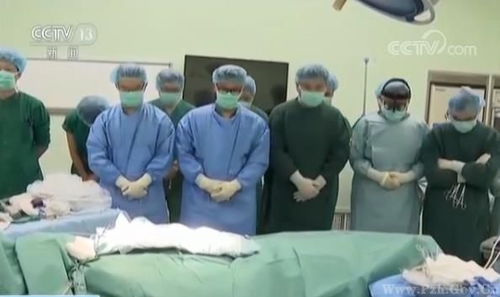 一、 悲剧之始：命运转折中的无常与必然