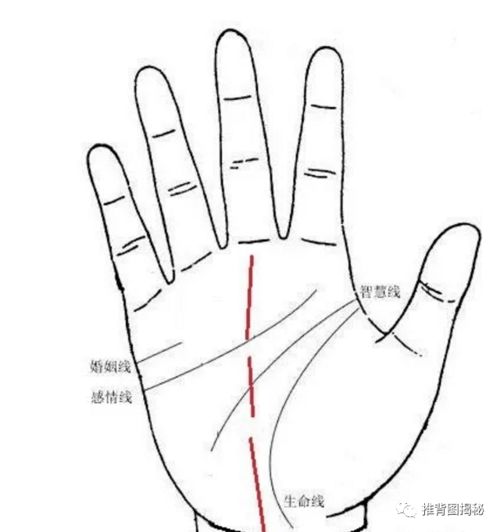 情商概念的界定及评估维度