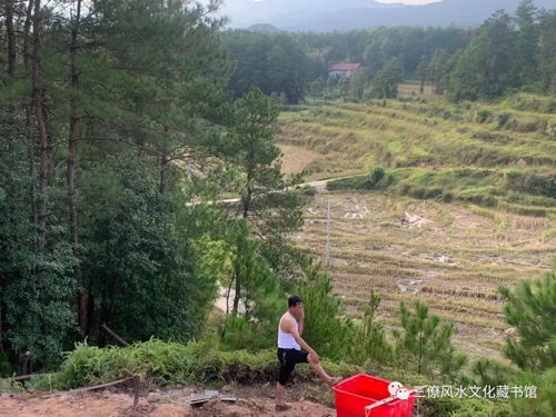 墓地动土日子和挖山动土的日子分别是哪一天？