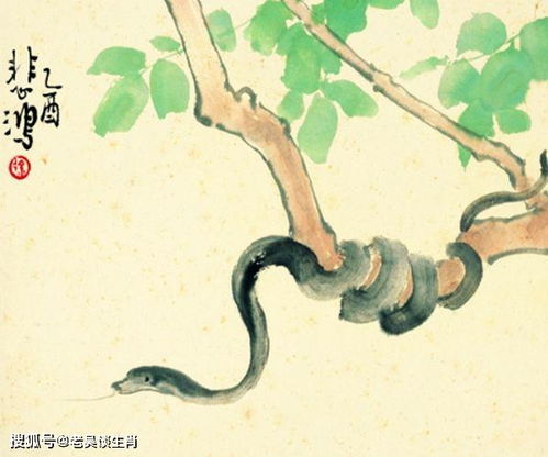三、从生肖角度解析“尾巴缠身”所象征的命运困境