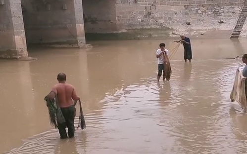 八字水多的人命运如何？