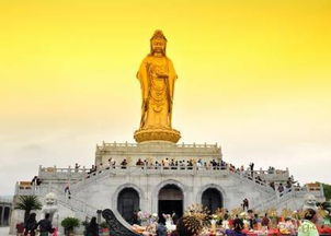 预算超支那个？我的普陀山三日游居然省了一半！