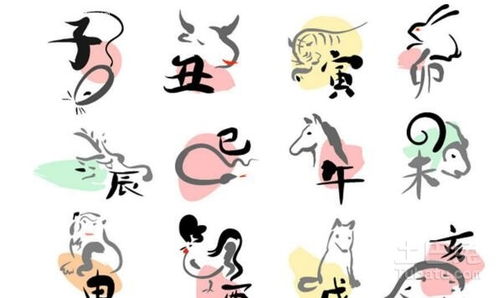 将破指的是哪一年？破字对应的生肖是什么意思？