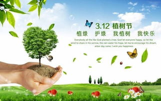 1.2 星座能量场与环保意识培育关系探究