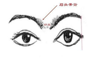 3. 粗沉重且呈“一字眉”之眉形