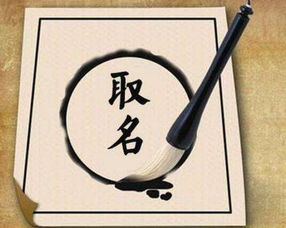 3. 伯琦