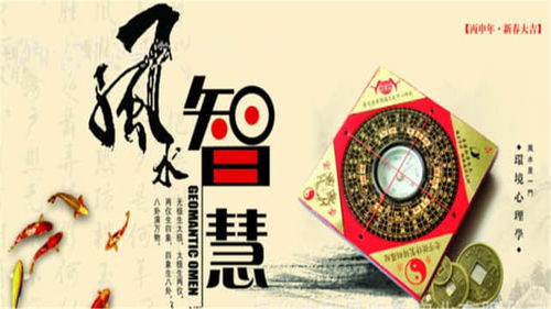 1999年十二生肖财富运势排名具体是怎样的？