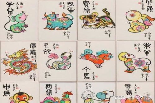 这个生肖为什么被称为徒子徒孙？