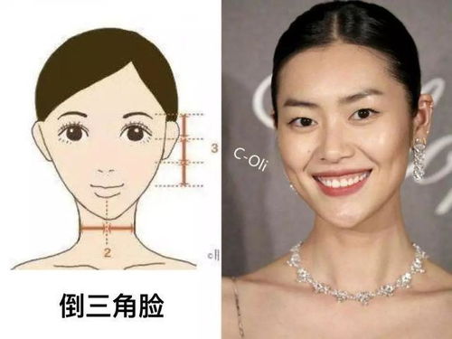 （二）面型倒三角——富贵短暂且缺仁义