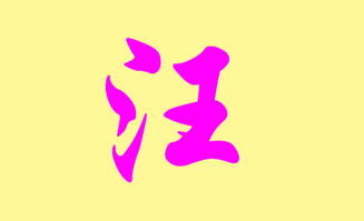 汪姓男孩起名最佳字汇 (2025年)
