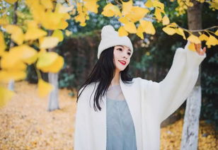 四、案例剖析：以“梨子”为例的情感困境及应对