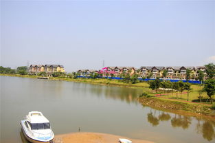 惠州到阳西，随手拈来一条“烂”路线