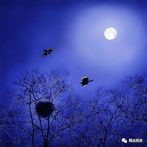 夏夜的回忆：时间段、 空间范围与非理性体验