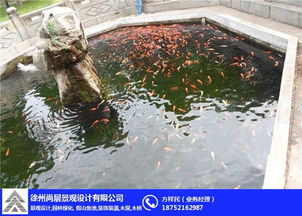 楼顶建造鱼池对风水有何影响？