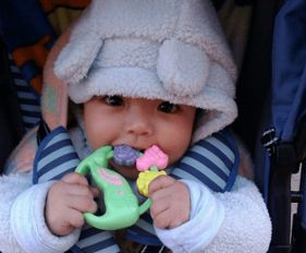 为什么七月的鼠宝宝这么忒别？