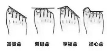 脚相学的概念框架与历史渊源