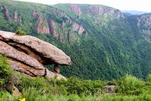 雷劈出来的举人老爷