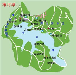 我的亲身经历:一场灾难般的试炼