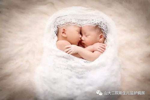 二、 选择意义相关的词语：福、慧、乐……无限循环