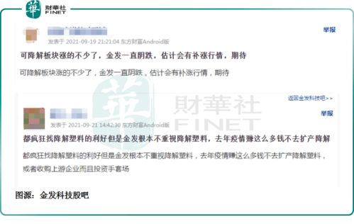 属狗者：忠诚善良与和谐安宁之象征