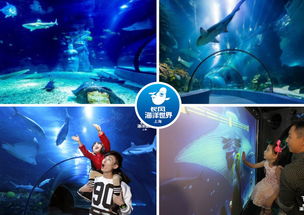 星座专属动物配对