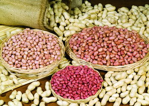 梦见捡到花生预示着什么吉凶？