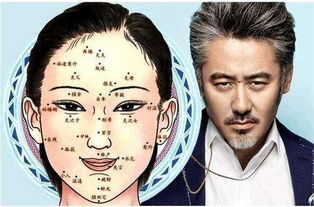 四、 勤劳与吃苦精神：从性格倾向看职业发展