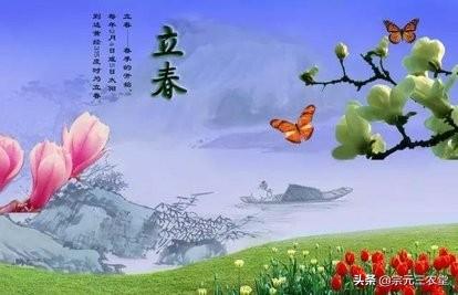 4.1 具体案例分析