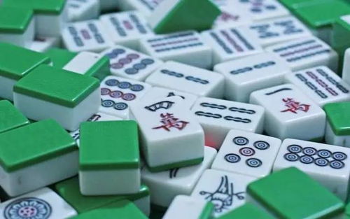 座向选择与嫩量场的构建