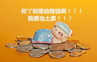 一、 风水环境对偏财运势的影响：构建和谐气场以利聚财