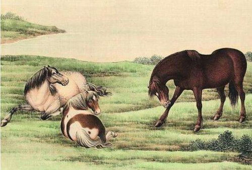 属马人未来21天运势和最近两天今日运势分别是什么？