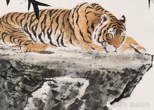 1986年属虎女性在2026年会遇到怎样的爱情运势呢？