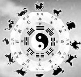 摘要