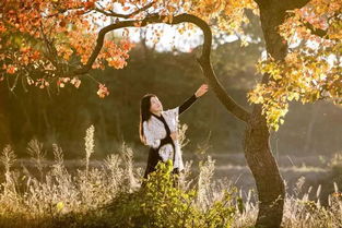 名字中的清晨之美 (哎呦喂， 有点老套了哈)