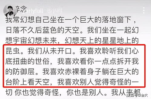 再来点儿噪音