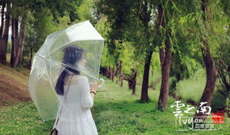 雨欣这个名字的寓意是什么它背后蕴含着怎样的美好愿望和期望？