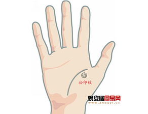 手相公印纹是什么样子的？请展示手中有公印纹的图片实例。