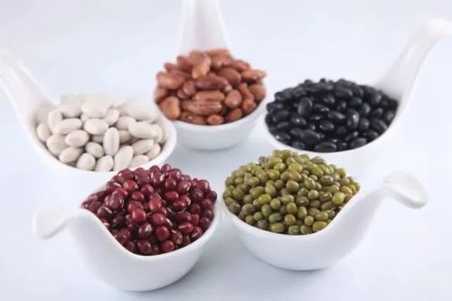 一、 心脾同源：国学视角下的理论基础