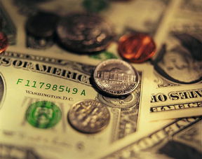 3. 财务健康与奢侈生活的平衡