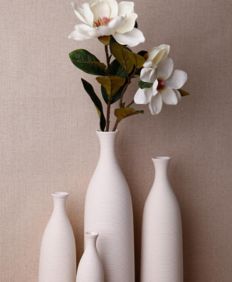 空花瓶办公室放硬币会影响财运吗？