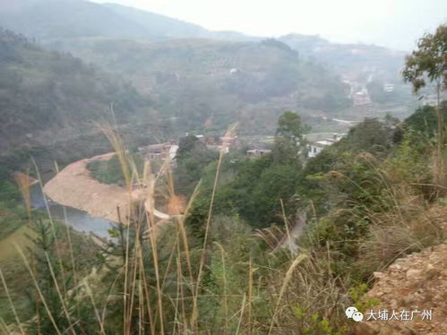 2. 发展乡村旅游：将景观转化为资本