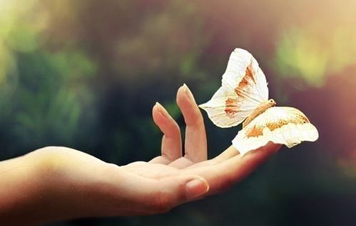 气质与昵称：内在修养与外在符号的和谐统一