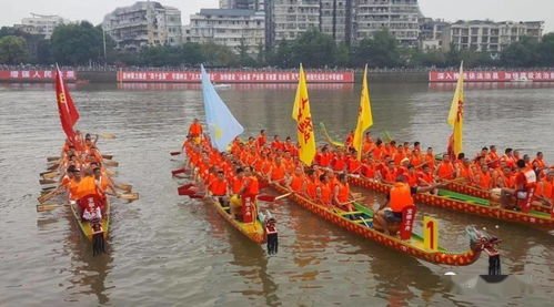 百舸竞渡是哪个生肖？百舸竞渡打一最佳动物是什么生肖的动物？