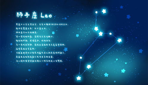 狮子座（男性群体/女性群体）情感表达概览